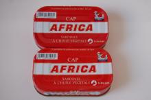 canned sardine