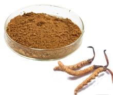 Fermented Cordyceps Sinensis Powder