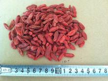 DRIED GOJI FRUIT