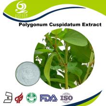 Giant Knotweed Extract 98% Resveratrol Powder