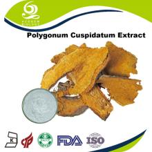 Natural 98% Resveratrol Powder