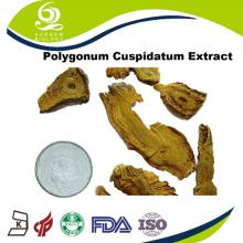 White 98%  Resveratrol   Powder 