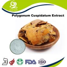 Polygonum Cuspidatum Extract White 98% Resveratrol Powder
