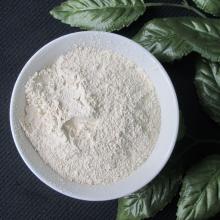 Food and Beverage bulk  dehydrated  dried  garlic   powder 
