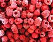 iqf raspberry rolend