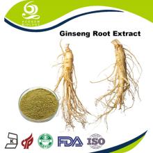 USP37-561 Low Pesticide Ginseng Root Extract 7% Powder