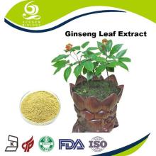 EC396/2005 Low Pesticide Ginseng Leaf Extract Powder