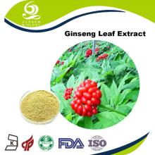 Acegem Supply EC396/2005 Low Pesticide Ginseng Leaf Extract Powder