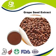 Best Quality Grape  Seed   Extract  Powder 95% OPC