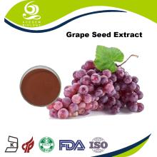 High Quality Grape Seed Extract Powder 95%