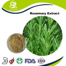 Acegem Produce the Rosemary Extract Rosmarinic Acid Powder