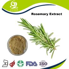 Dried Rosemary Extract Ursolic Acid Powder 25%~98%