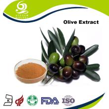 Dried  Olive   Extract  Oleuropein 10%~60% Powder