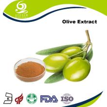 Supply Natural Olive Leaf Extract Oleuropein 40%