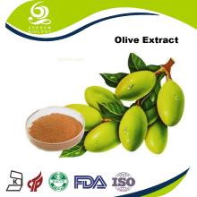 Produce Natural Olive Leaf Extract 10%  Hydroxytyrosol 