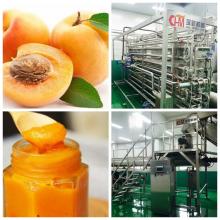  Apricot   paste  production line machine
