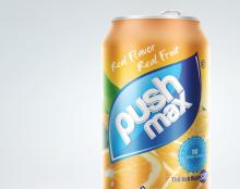 THQ VIETNAM PUSHMAX ORANGE FRUIT JUICE 330ML