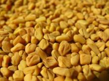 FENUGREEK SEEDS