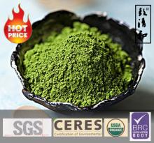 Free Sample Instant Matcha Green Tea Powder
