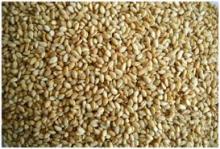 TOASTED SESAME SEEDS
