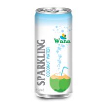 Vietnam Beverage Fresh Coconut Water Bulk in Can