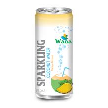 Wholesale Coconut Water With Mango Flavor in 250ml can