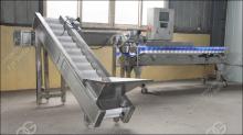 Multi-use Mango Weight Sorting  Production   Line 