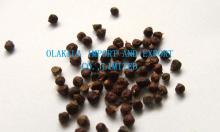 Grains of Paradise