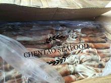  West   Africa  Squid Competitive price