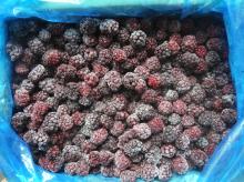 IQF Blackberry, frozen blackberry