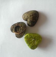 heart shape Oolong tea