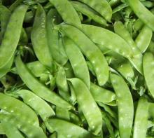 Stringless IQF Pea Pod, Frozen Snow Peas