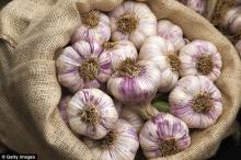 2016 fresh Chinese galic cheap price