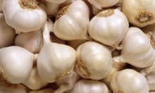 Fresh Red Garlic (Own Galic Factory in Shandong, China)