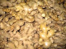 Pure White Garlic,Pure White Garlic and Fresh Ginger for sale