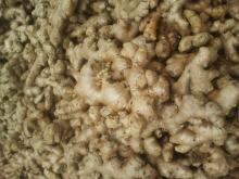 Cheap Fresh Ginger, Agriculture Fresh Vegetables