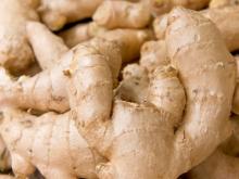 Cheap Fresh Ginger, Agriculture Fresh Vegetables for sale