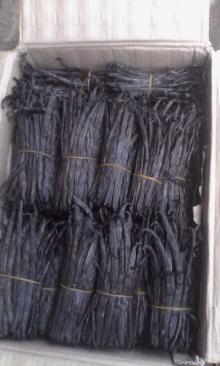 vanilla beans