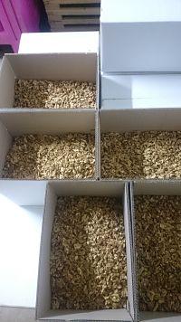 walnuts
