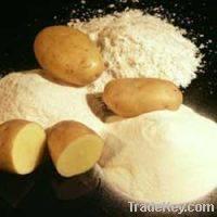  High  Quality  Potato  Starch
