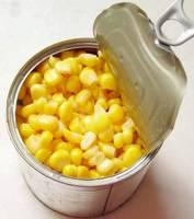 New Crop Canned Yellow Sweet Corn