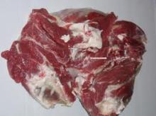 Cow  meat , sheep   meat ,Lamp  meat ,Goat  meat  for sale with competative prices