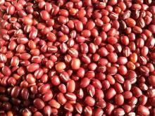  red   small   bean s