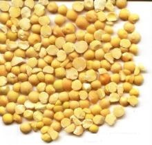 PEELED SPLIT YELLOW PEA