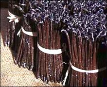 VANILLA BEANS,VANILA BEAN,VANILLI.GOURMET,BLACK OILY 10U$/KG.