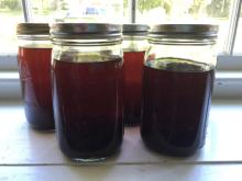 Vanilla Extract, Vanilla powder, Vanilla beans, Vanilla Sugar