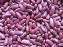 LIGHT RED KIDNEY BEANS