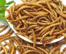 Microwave dried mealworm-Bird food Chicken food Fish food, Aquarium  Fish Food,Pet food