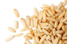 Pine Nuts Seeds