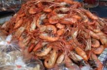 Black  King   Kong  Shrimp